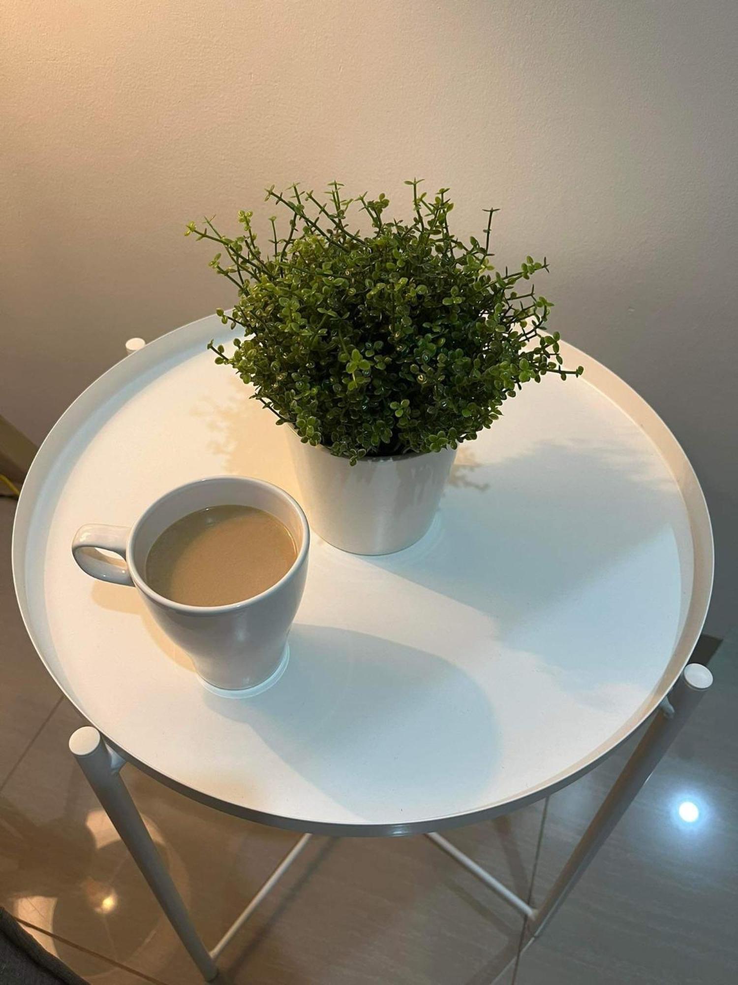 Casa Florencia 파사이 외부 사진